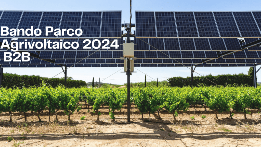 Bando Parco Agrivoltaico 2024 - Bando Parco Agrivoltaico B2B